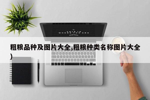 粗粮品种及图片大全,粗粮种类名称图片大全)