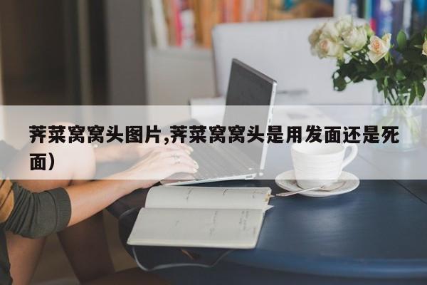 荠菜窝窝头图片,荠菜窝窝头是用发面还是死面）